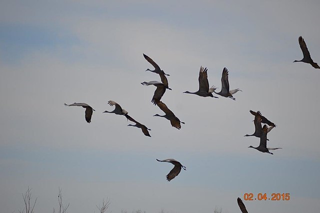 USDA NRCS South Dakota (cc-by-sa-2.0)