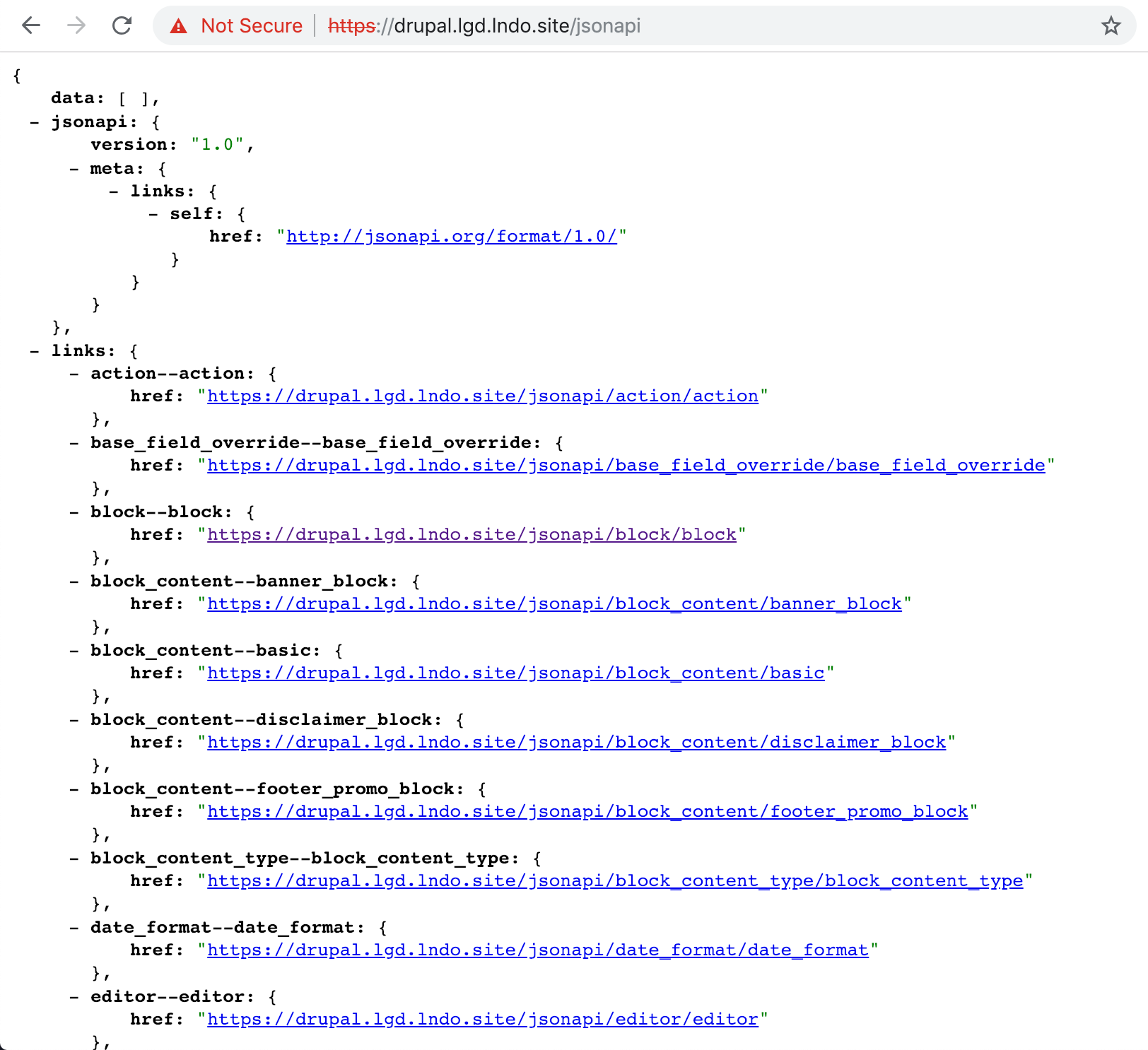 Drupal with JSON:API module